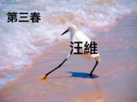 https://images.plurk.com/4LdK3UiN6amQ8tEHsmHK26.png