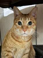 https://images.plurk.com/4LeX2BE7MpTeN6axA9VV8U.jpg