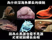 https://images.plurk.com/4Lf03SjfqX1r55bXZMRsaH.jpg