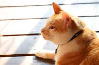 https://images.plurk.com/4LgRS7LKe0IQGZJ6eqdElG.jpg