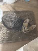 https://images.plurk.com/4LmaPbnYk8DdovEQADgcjV.jpg