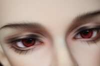 https://images.plurk.com/4LoxyqDb0x1MGh0QGhjPNu.jpg