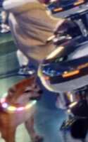 https://images.plurk.com/4LpYTWSfO5kCZTBnmh3g2X.jpg
