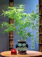 https://images.plurk.com/4LsIb3WRhlPN9bUi8Fr52u.jpg