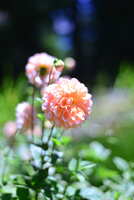 https://images.plurk.com/4LtodtBb9BJFXI1yAgCi6A.jpg