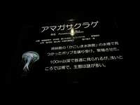 https://images.plurk.com/4M0IPTaFDbwkNfF8bCt3rg.jpg