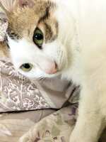 https://images.plurk.com/4MEqZ1imJJwUsYlWrRFeMU.jpg