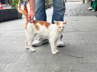 https://images.plurk.com/4MGUCtPDwnpWa7LrYURJAj.jpg