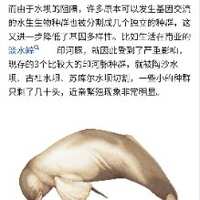 https://images.plurk.com/4MSndMDibFzGZHvsOyzIxX.jpg