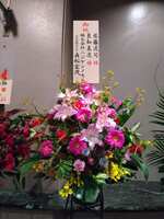 https://images.plurk.com/4MT3fRS7SFBd9lYgET6il.jpg