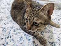 https://images.plurk.com/4MVkiyTqCapigRhY2Ymvvh.jpg