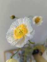 https://images.plurk.com/4MaZR7fP6zP4HkAMR6gtd3.jpg