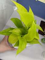 https://images.plurk.com/4MalBfXAtjKDWm5Xi6AbJJ.jpg