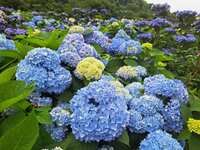https://images.plurk.com/4Md8qiW5P2K5di7M8kPMLl.jpg
