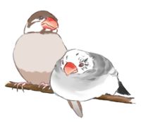 https://images.plurk.com/4MdbX6MY4bcPSVYdn5wlab.png