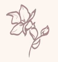 https://images.plurk.com/4MfwkeAC2M1T1cKW4kVcMk.png
