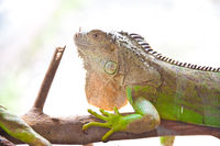 https://images.plurk.com/4MoLjkFhGHDJL071sBqtzN.jpg