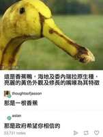 https://images.plurk.com/4MoT9mIiQJtbjdxkjXWohp.jpg