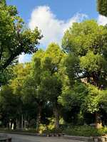 https://images.plurk.com/4MrO9PukLkQjfCQs3thGqY.jpg