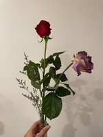 https://images.plurk.com/4MuYLoIaB4Q6f5npAjWK75.jpg