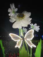 https://images.plurk.com/4MwwqeDevqlB70JyUndogk.jpg