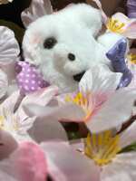 https://images.plurk.com/4N9PJCzxyZWxxOgMAdIoZC.jpg