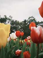 https://images.plurk.com/4NGxbRb098MCFqlGvmUsJz.jpg