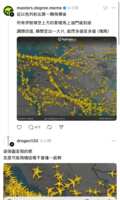 https://images.plurk.com/4NIAj9Hkq3pw5QEYzsBxbG.png