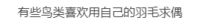 https://images.plurk.com/4NLb5zlv2UShPK9qs3DM4Z.png