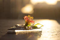 https://images.plurk.com/4NQjUCcK76TrvSucUVqfg2.jpg