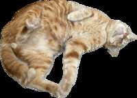https://images.plurk.com/4NTwN74GCXZUDsy0LK0KSV.png