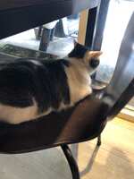 https://images.plurk.com/4NbaBvSFeSQcvA4fzyzymm.jpg