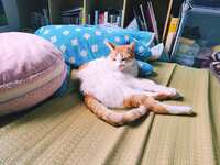 https://images.plurk.com/4Nes47R1ufc047eQOyasnx.jpg