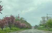 https://images.plurk.com/4NpV7cimTHxB4XjujwFnAg.jpg