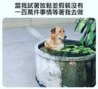 https://images.plurk.com/4NqYimkfrgQv8ht4ZdDsrE.jpg