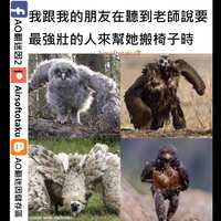 https://images.plurk.com/4O1YrWCrFKQWRT3bALir4P.jpg