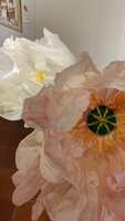 https://images.plurk.com/4O5LByEUOztsOBP18laX78.jpg