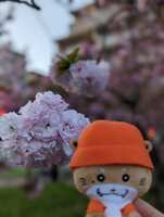 https://images.plurk.com/4O6Gt6HKZlmypUuHXGkhf9.jpg