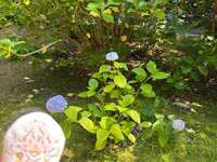 https://images.plurk.com/4OBYg3OnrLzr8q6dRO9qGr.jpg