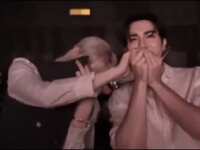 https://images.plurk.com/4OEVFEbPChaBgft5HR2xEV.gif