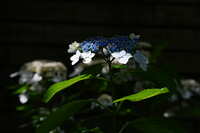 https://images.plurk.com/4OEoJHDpeAhRgixJC9ao7V.jpg