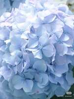 https://images.plurk.com/4OIPr52t6TyQNkORzj1G9H.jpg