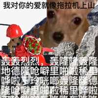 https://images.plurk.com/4OPzXio8MtpWEctTAf8qBL.jpg