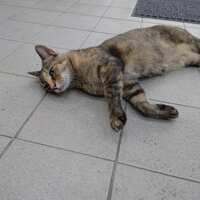 https://images.plurk.com/4OUF61LlIDpyMAEX1rkm5f.jpg