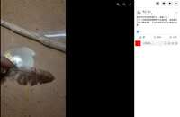 https://images.plurk.com/4OUZEv6uTHeP09JSUFDHem.jpg
