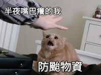 https://images.plurk.com/4OgpZfn1GTE2HFjjmFsZFS.jpg