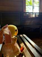 https://images.plurk.com/4OhMNi4mTfycXoytm6ONp8.jpg