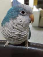 https://images.plurk.com/4Oi4FntKFFuSQsNGhPLNwf.jpg