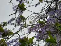https://images.plurk.com/4OkTnG45Ce6fpKCmI7ulDa.jpg