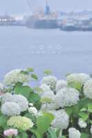 https://images.plurk.com/4OngfZC16m6D39kx8iWSg8.png